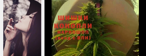 хмурый Семилуки