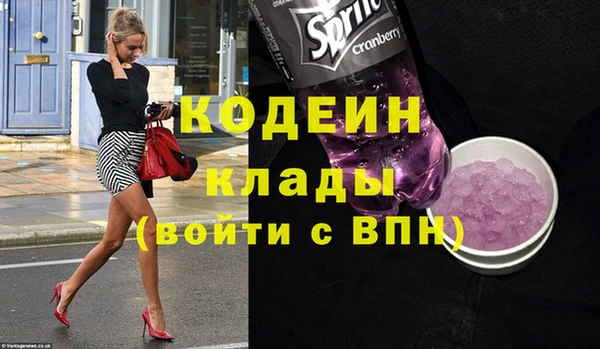 хмурый Семилуки