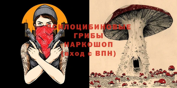 spice Семикаракорск